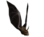 Bat - FATE Series