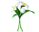 Small Bouquet - Pokémon: Let's Go, Pikachu! / Eevee!