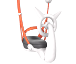 Sky Dash Harness - Pokémon: Let's Go, Pikachu! / Eevee!