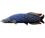 Pirarucu - Rapala: We Fish