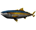 Yellowtail - Rapala: We Fish
