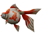 Goldfish - Rapala: We Fish