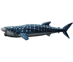 Whale Shark - Rapala: We Fish