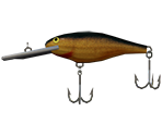 Shad Rap - Gold - Rapala: We Fish