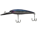 X-Rap Magnum - Bonito - Rapala: We Fish