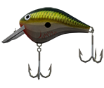 DT Fat SureSet - Bleeding Olive Shiner - Rapala: We Fish