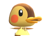 Molly - Animal Crossing: Pocket Camp