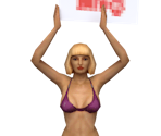 Sign Girls - Showtime Championship Boxing