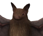 Bat - Street Fighter V