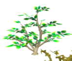 Chop Down Bushes - Pokémon: Let's Go, Pikachu! / Eevee!