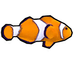 Sushi the Fish - Amber's Airline - High Hopes