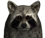 Raccoon - The Walking Dead: Season 2