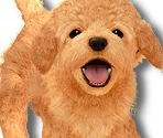 Nintendog - Super Smash Bros. Ultimate
