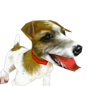 Dog - FATE Series