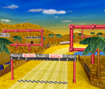 Desert Hills - Mario Kart DS