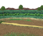 Plant Kingdom Boss Stage - Sonic Rush Adventure