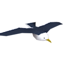 Seagull - Sonic Rush Adventure
