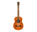 Guitar - Tomodachi Life