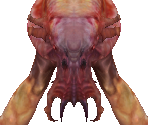 Infected Miasma - Richard Garriott's Tabula Rasa