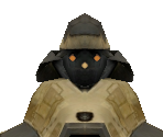 Warden Bot - Richard Garriott's Tabula Rasa