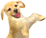 Golden Retriever Trophy - Super Smash Bros. for Nintendo 3DS