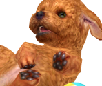 Toy Poodle Trophy - Super Smash Bros. for Nintendo 3DS