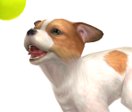 Jack Russell Terrier Trophy - Super Smash Bros. for Nintendo 3DS