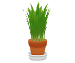 Cat Grass - Nintendogs + Cats