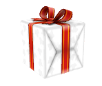Present - Nintendogs + Cats