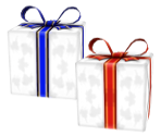 Gift - Nintendogs + Cats