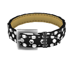 Dot Collar - Nintendogs + Cats