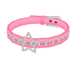 Star Collar - Nintendogs + Cats