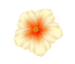 Hibiscus Flower - Nintendogs + Cats