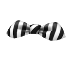 Striped Bow - Nintendogs + Cats