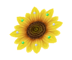 Sunflower - Nintendogs + Cats