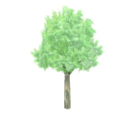 Tree - Nintendogs + Cats