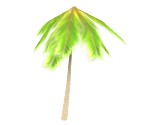 Palm Tree - Nintendogs + Cats
