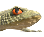 Lizard - Super Mario Odyssey