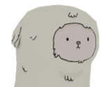 Yetis - Summer Camp Island AR