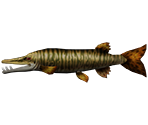 Tiger Muskie - Rapala: We Fish