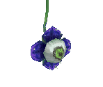 009 - Dark Eye - Final Fantasy 3