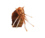 136 - Gaap - Final Fantasy 3