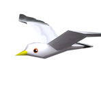 Seagull - Mario Kart Wii