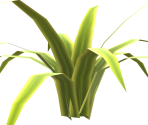 Grass Shrub - FeralHeart