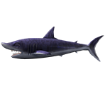 Shortfin Mako Shark - Rapala: We Fish