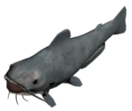 Catfish - Duke Nukem Forever