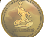 Gym Badge Medal - Pokémon Sword / Shield