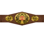 Belts - Showtime Championship Boxing