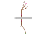 Madoka's Bow - Puella Magi Madoka Magica: The Battle Pentagram