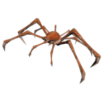 Crab - Sea Monsters: A Prehistoric Adventure